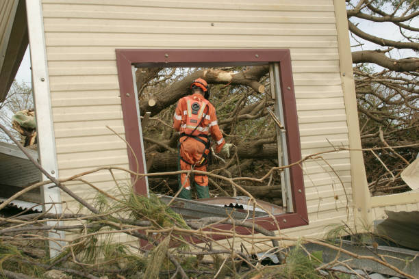 Waldo, AR Tree Services Company